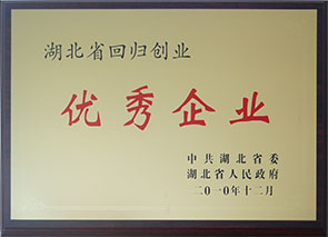 湖北省回歸創(chuàng)業(yè)優(yōu)秀企業(yè)